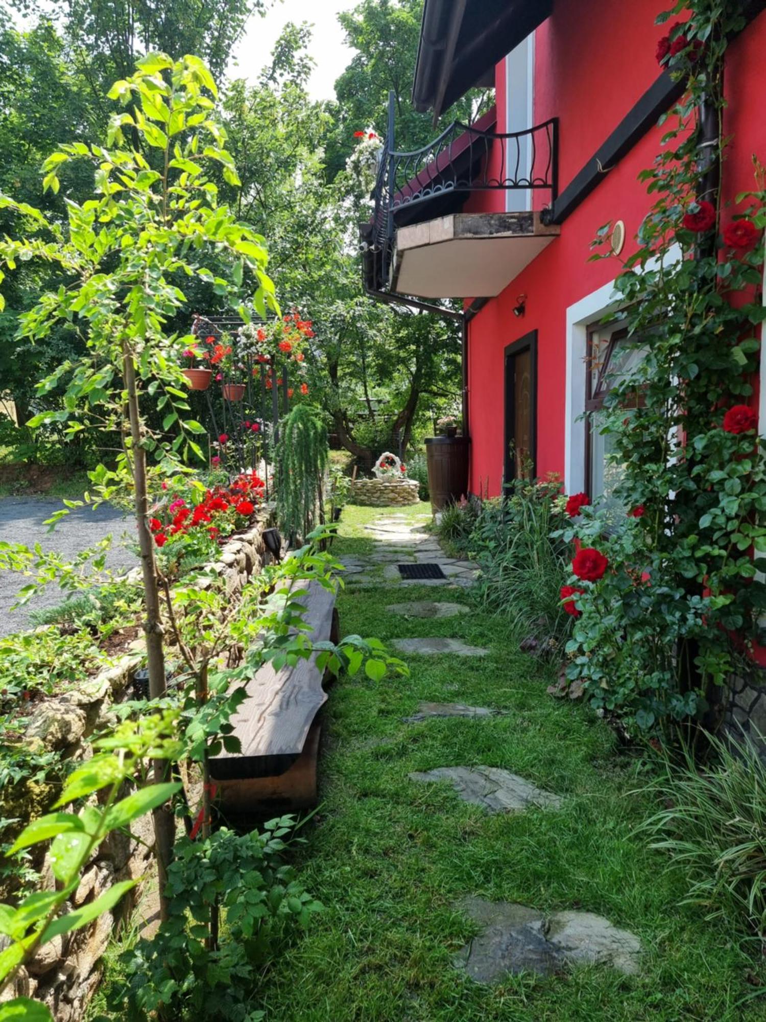 Apartamenty U Bodzia Stronie Slaskie Luaran gambar