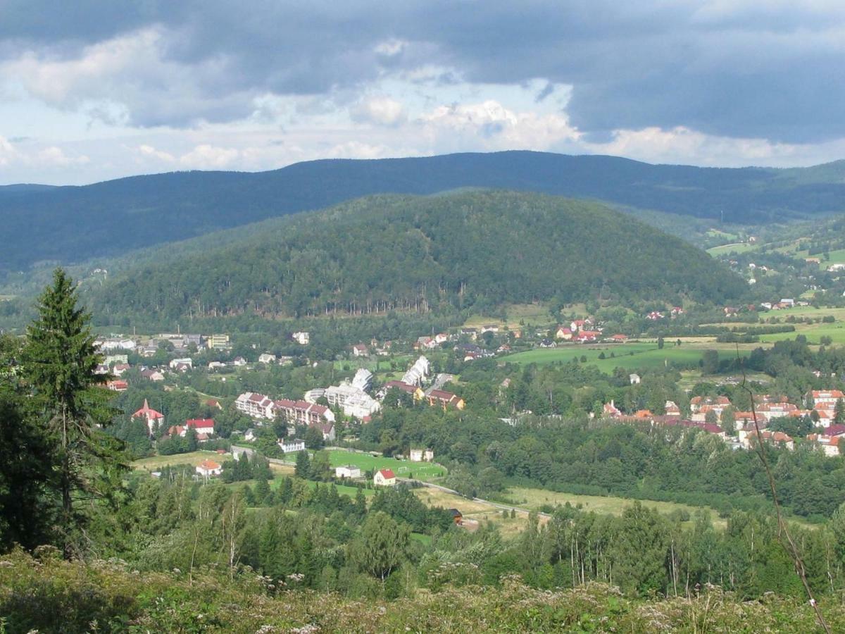 Apartamenty U Bodzia Stronie Slaskie Luaran gambar